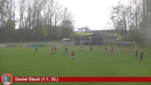 SpVgg Wiesenbach - TSG Thannhausen Fußball e.V.