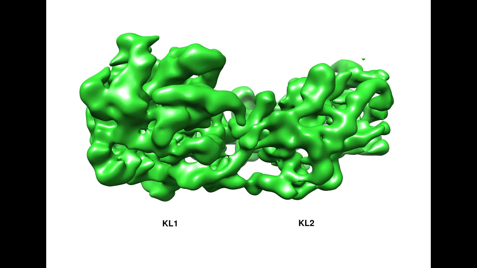 Conformational landscape of soluble α-klotho revealed by