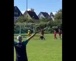 SpVgg Zabo Eintracht II - SpVgg Mögeldorf 2000 IV