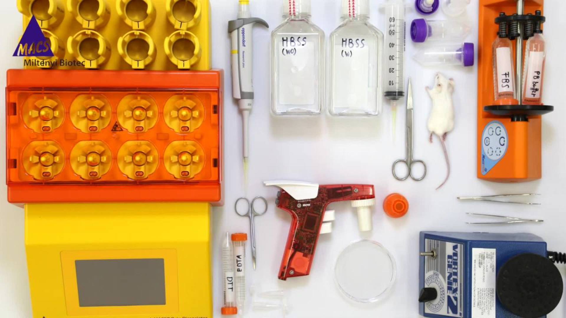 Tissue dissociation kits Epitope preservation Miltenyi Biotec Ireland