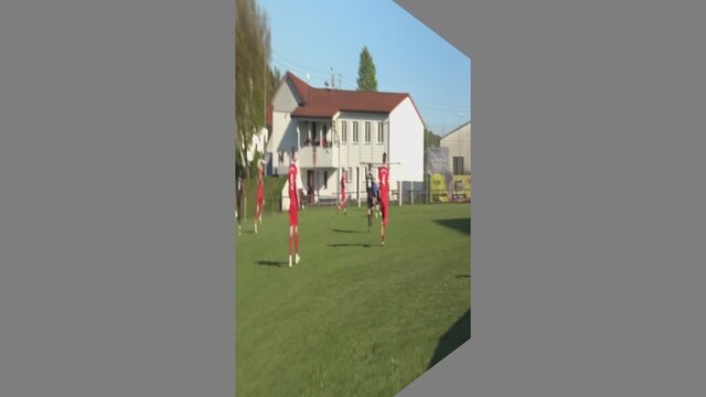 #SG1#SVN