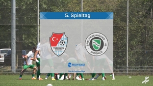 Türkgücü München - SpVgg Ansbach