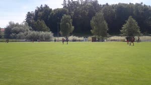 (SG) FC Walkertshofen - (SG) SV Ihrlerstein