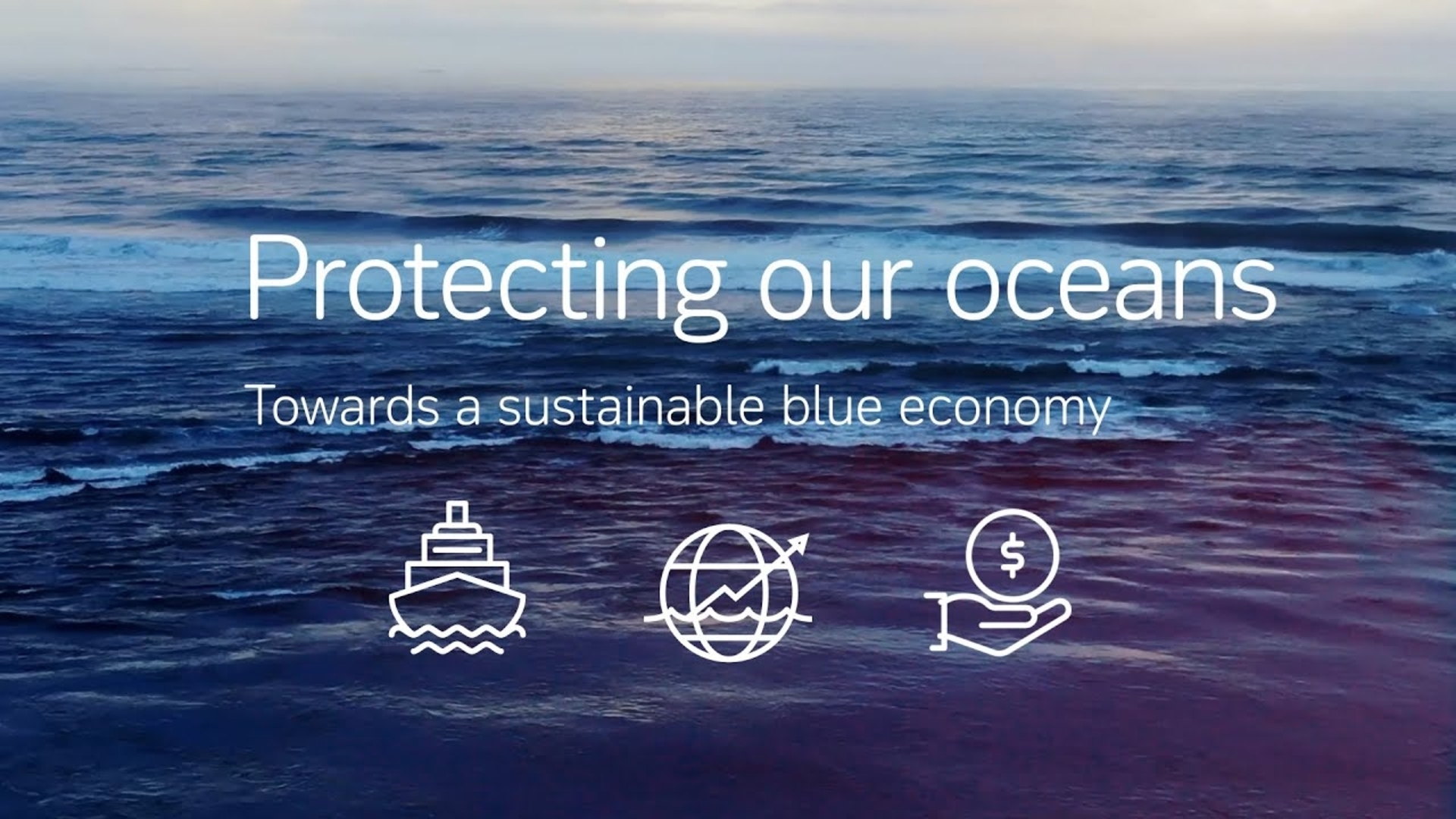 Why a healthy ocean costs 175 billion US dollars a year