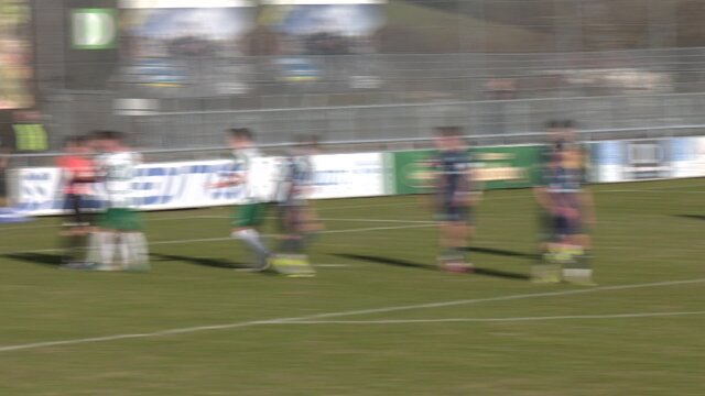 SV Schalding-Heining - TSV 1860 München II