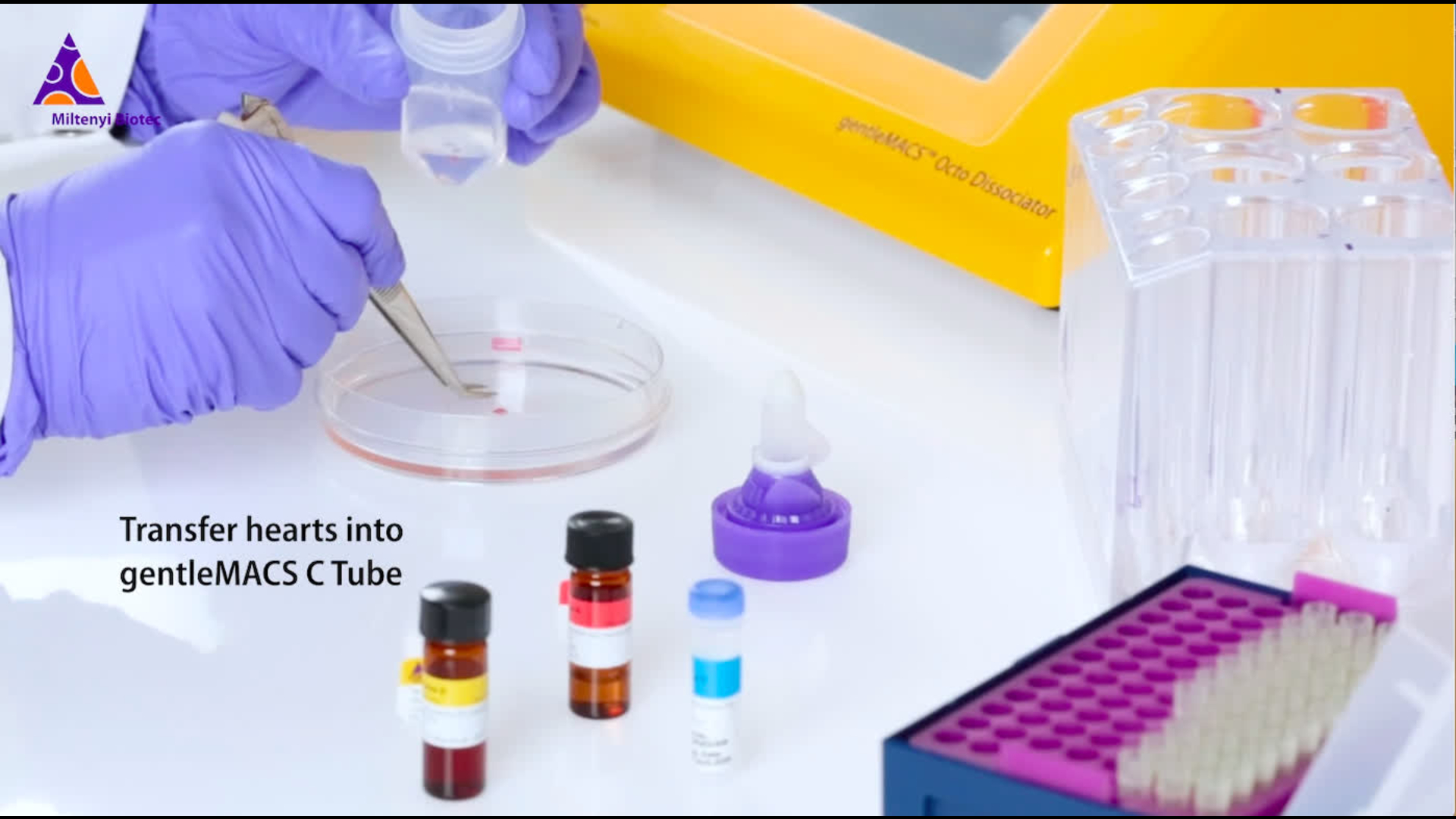 Video protocols for tissue dissociation Sample preparation Australia