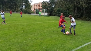 TSV Frauenaurach - VdS Spardorf