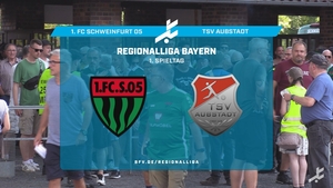 1. FC Schweinfurt 05 - TSV Aubstadt