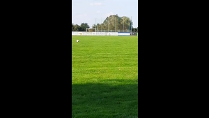 DJK Brunnen I - SV Bayerdilling