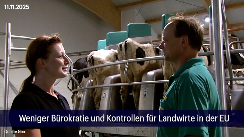 60 Sekunden Wirtschaft am 11.11.2025