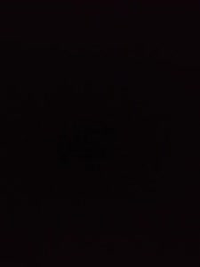 0.,11m Tor, FC Eintracht Bamberg 2010 III