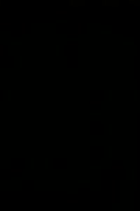 16.,11m Tor, (SG) FC Ezelsdorf