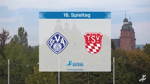 SV Viktoria Aschaffenburg - TSV Rain/Lech