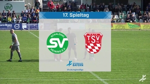 SV Schalding-Heining - TSV Rain/Lech