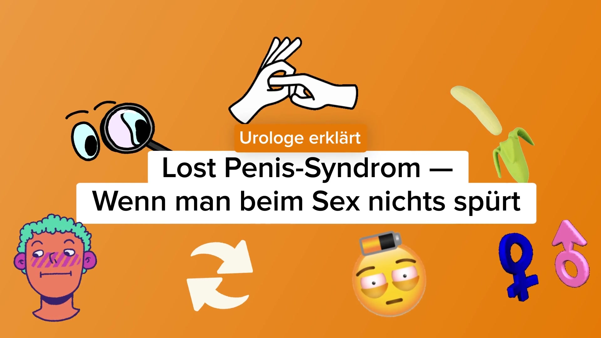 waschbares hundebett Hundebett waschbar jetzt online bestellen