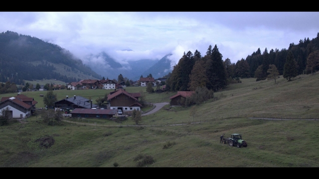 FS 131, Couteau à herbe 230-2 (6)