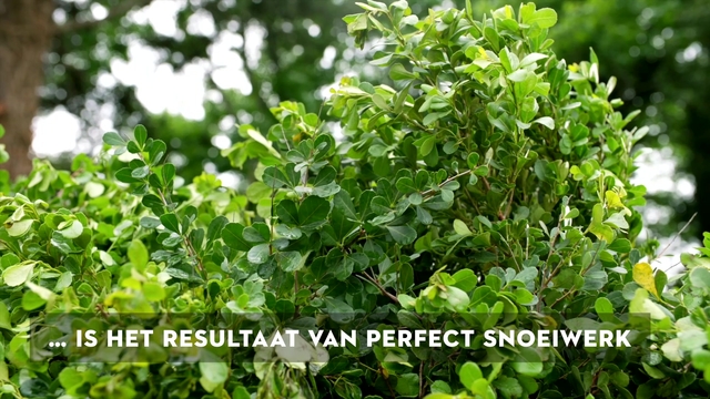 HSA 60, 60 cm zonder accu en lader (7)